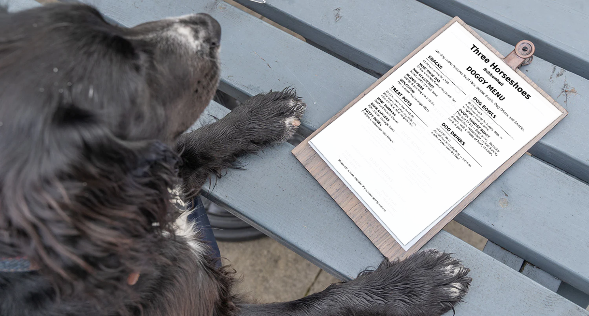 Dog-friendly lower lounge and bar