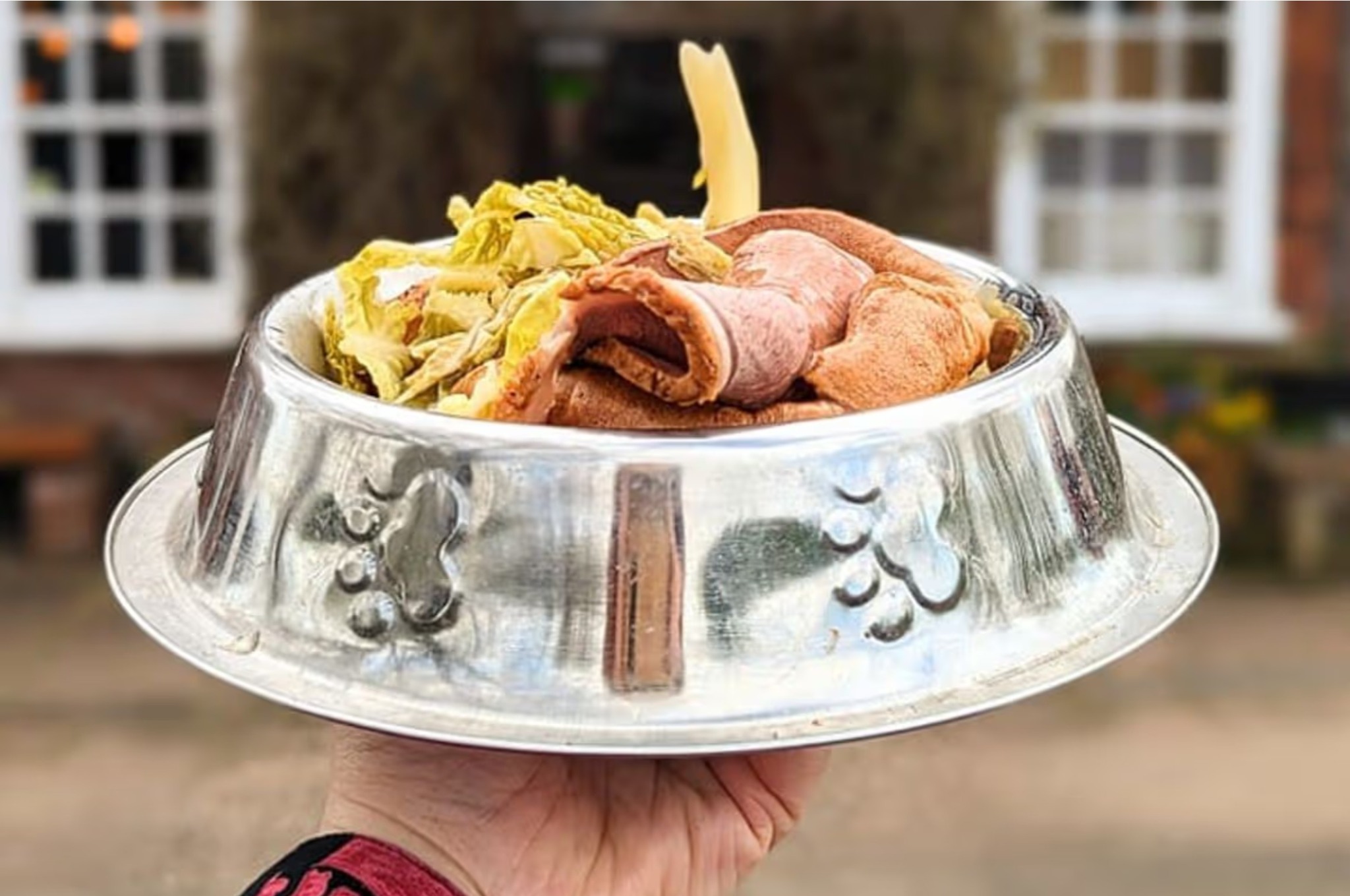A dog dinner bowl