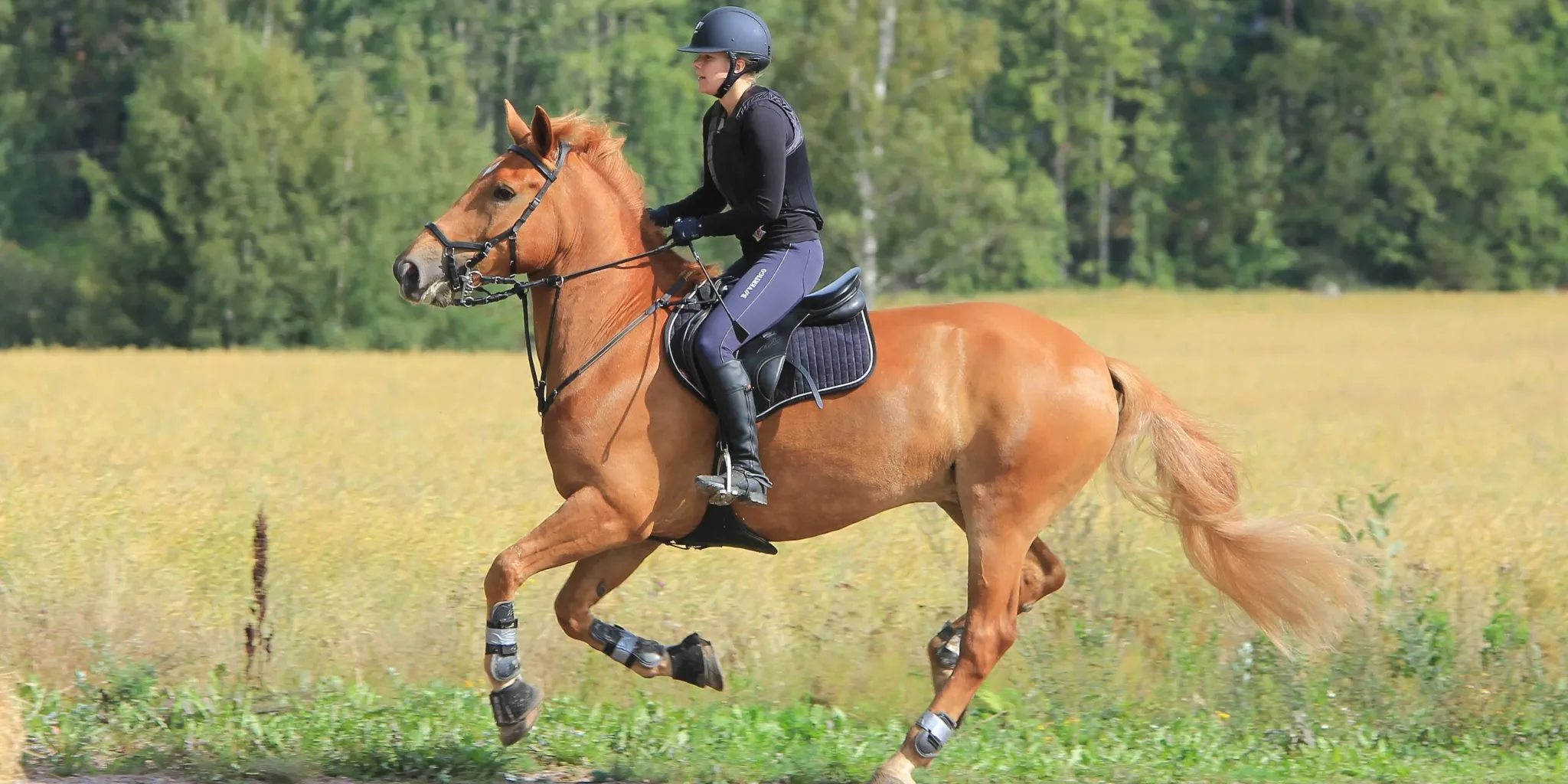 Bubbenhall Bridge Equestrian Centre