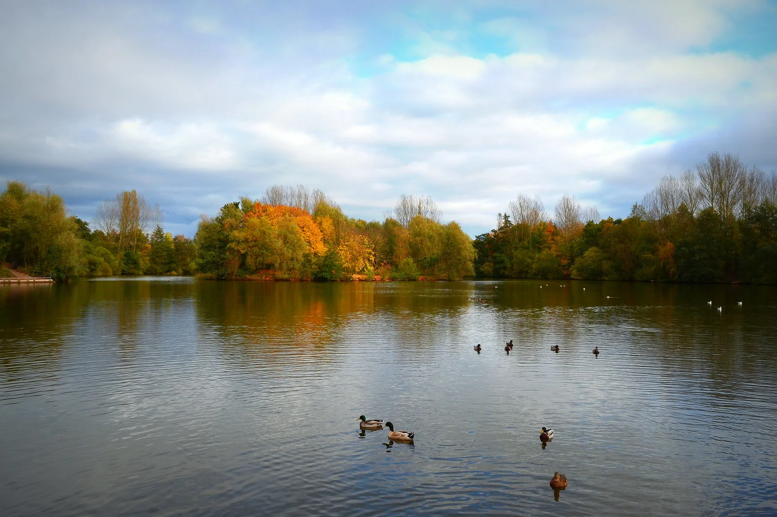 Ryton Pools Country Park