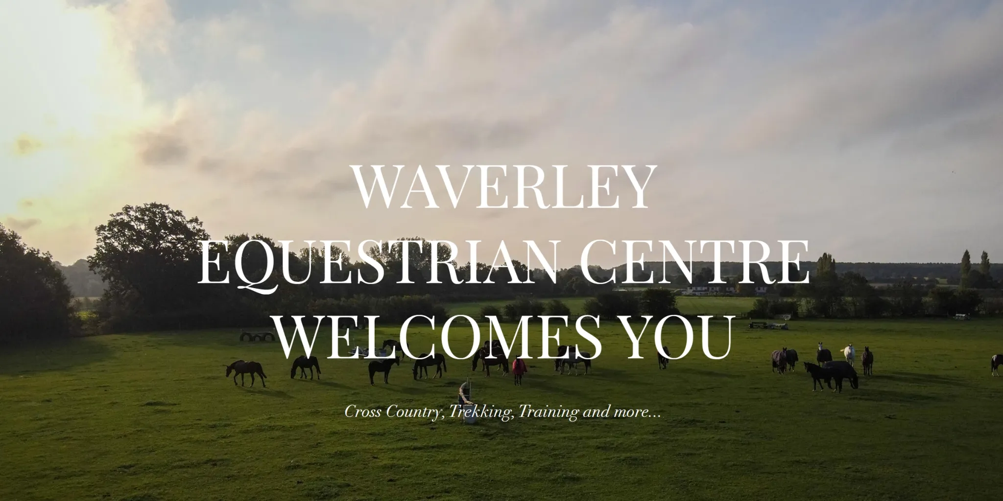 Waverley Equestrian Centre