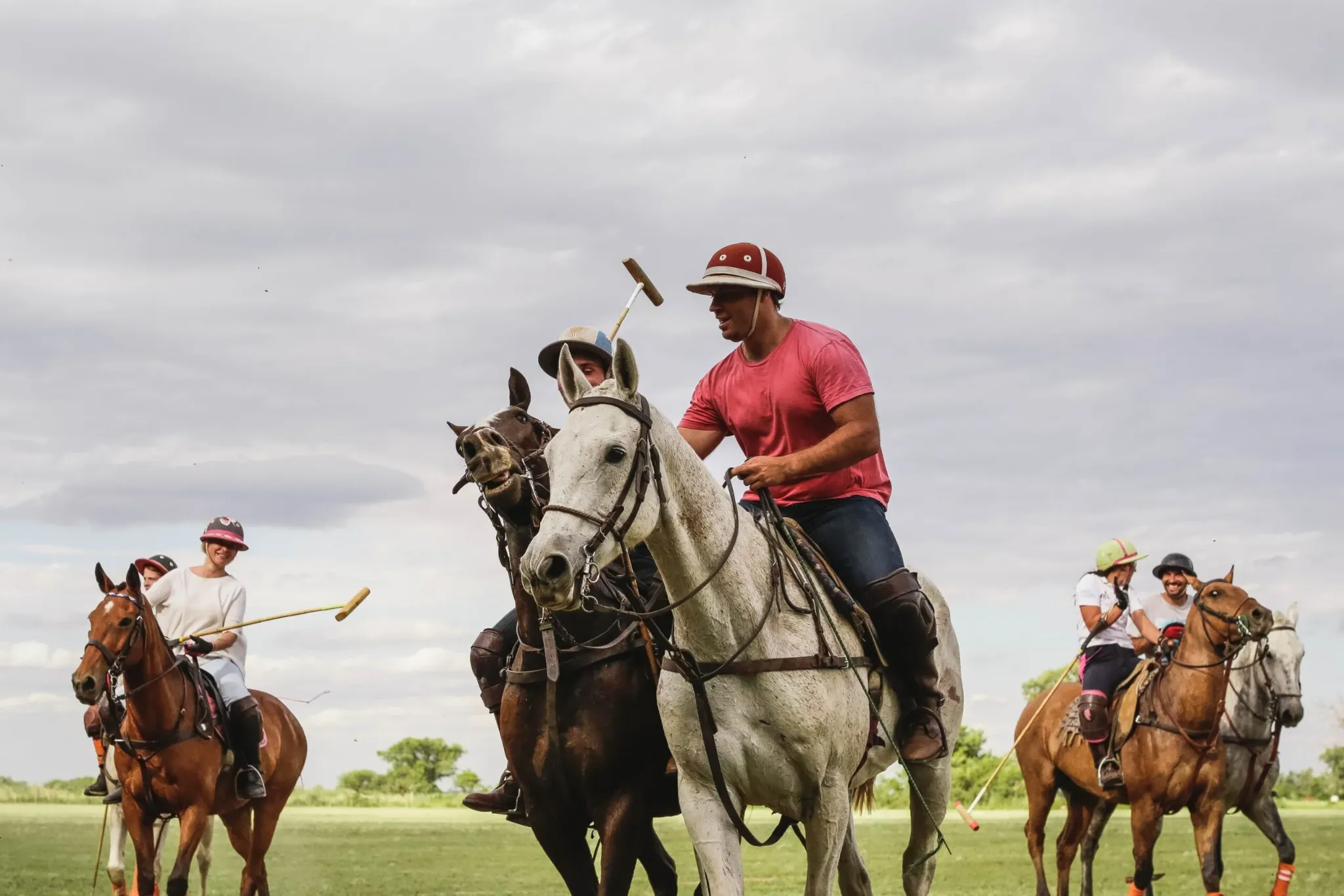 Polo